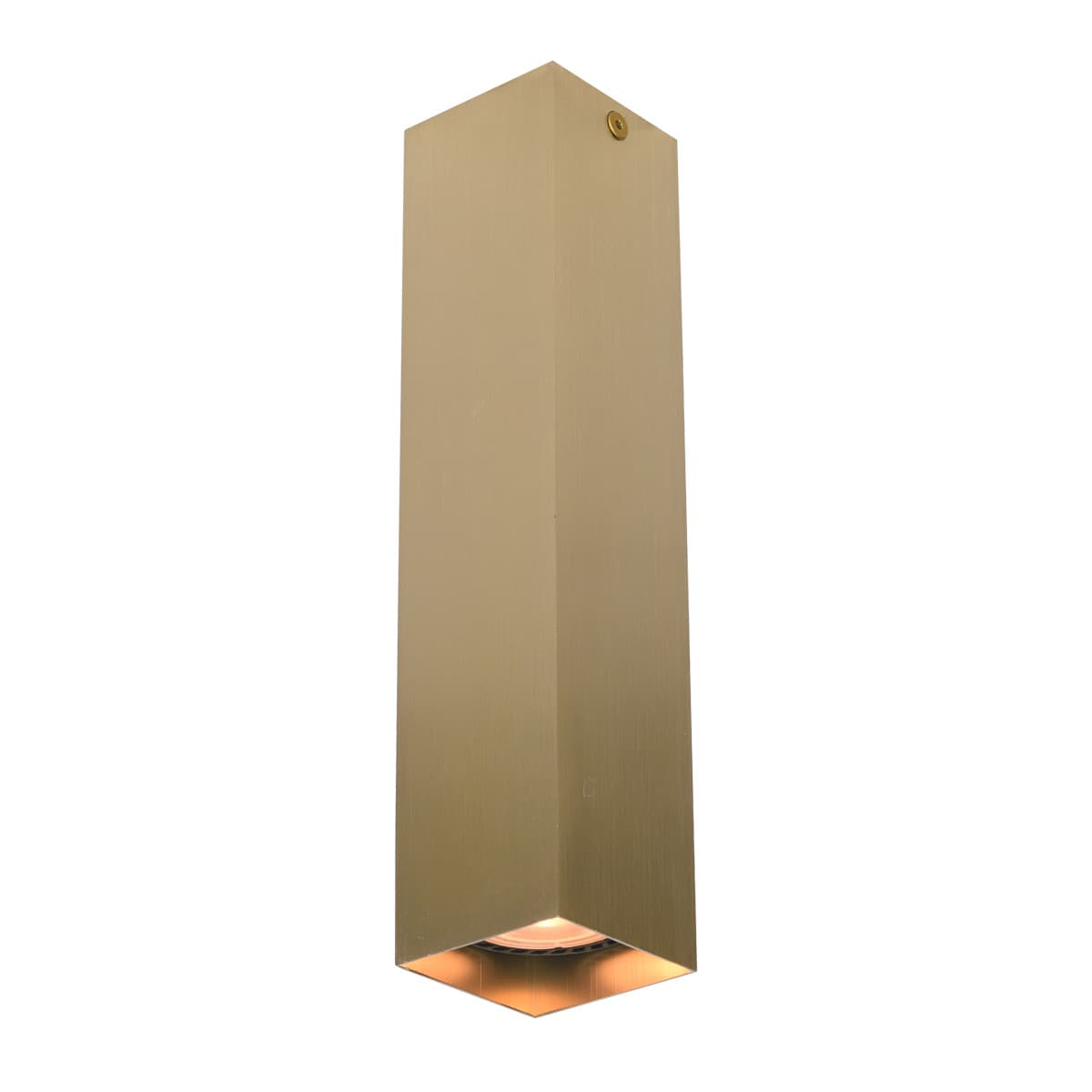 Netlighting Ander 24cm Surface Mounted Downlight Black Brass in Gold
