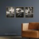 image 2 of Set of 3 Lone Tree Hill Black White Photographs Countryside Landscape Wall Art Prints 12X16 Inch