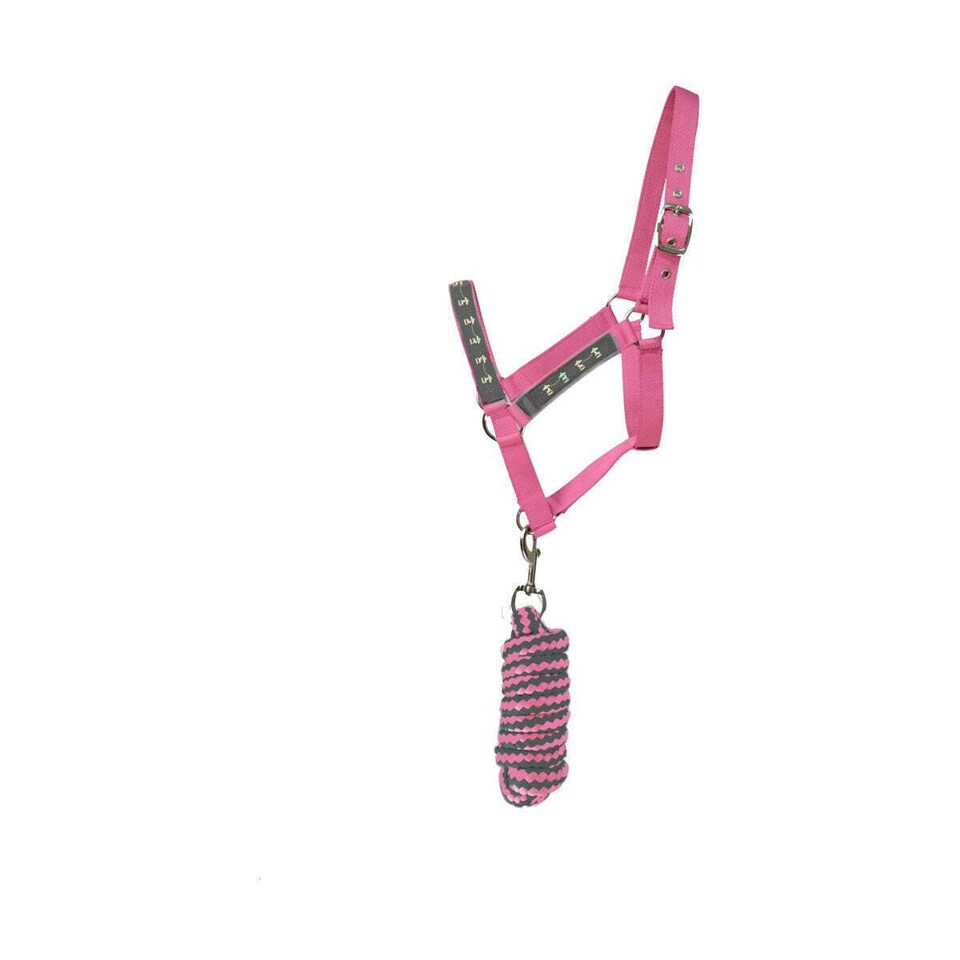 Hy Merry Go Round Horse Headcollar and Leadrope - Grey/Pink - Small Pony