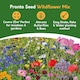 image 3 of Pronto Seed Wildflower Butterfly & Bee Garden Seed Shaker - 25m2 Garden Flower Seeds | Multi | Butterfly & Bee 25m2 | 1