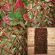 image 1 of 100cm x 200cm Artificial Fence Garden Trellis Privacy Screening Indoor Outdoor Wall Panel - Red Beech Leaf