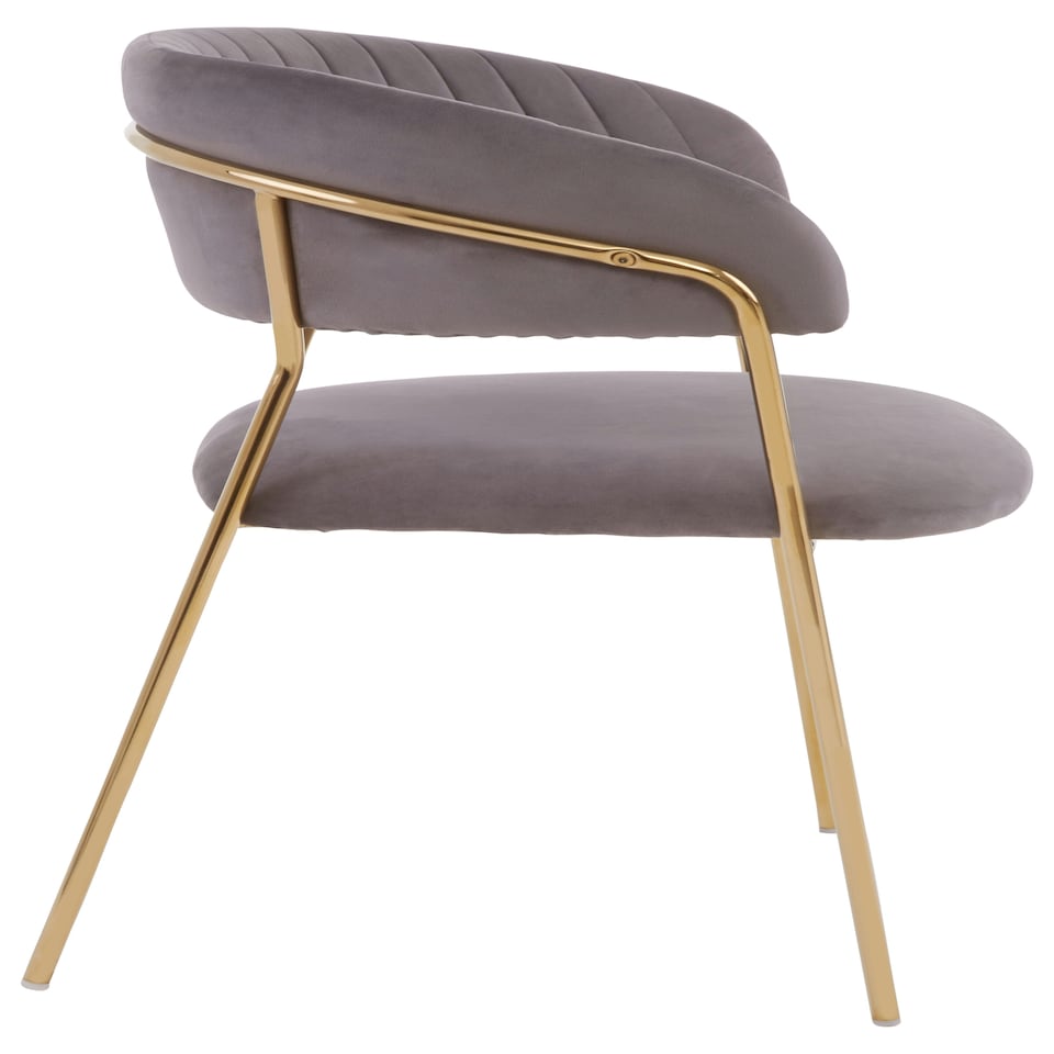 image 1 of Interiors by Premier Soft Mink Velvet Dining Chair, Modern Dining Armchair, Mink and Gold Luxury Dining Chair for Home, Lounge