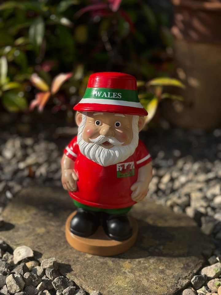 image 1 of Garden Gnome - Wales hand painted