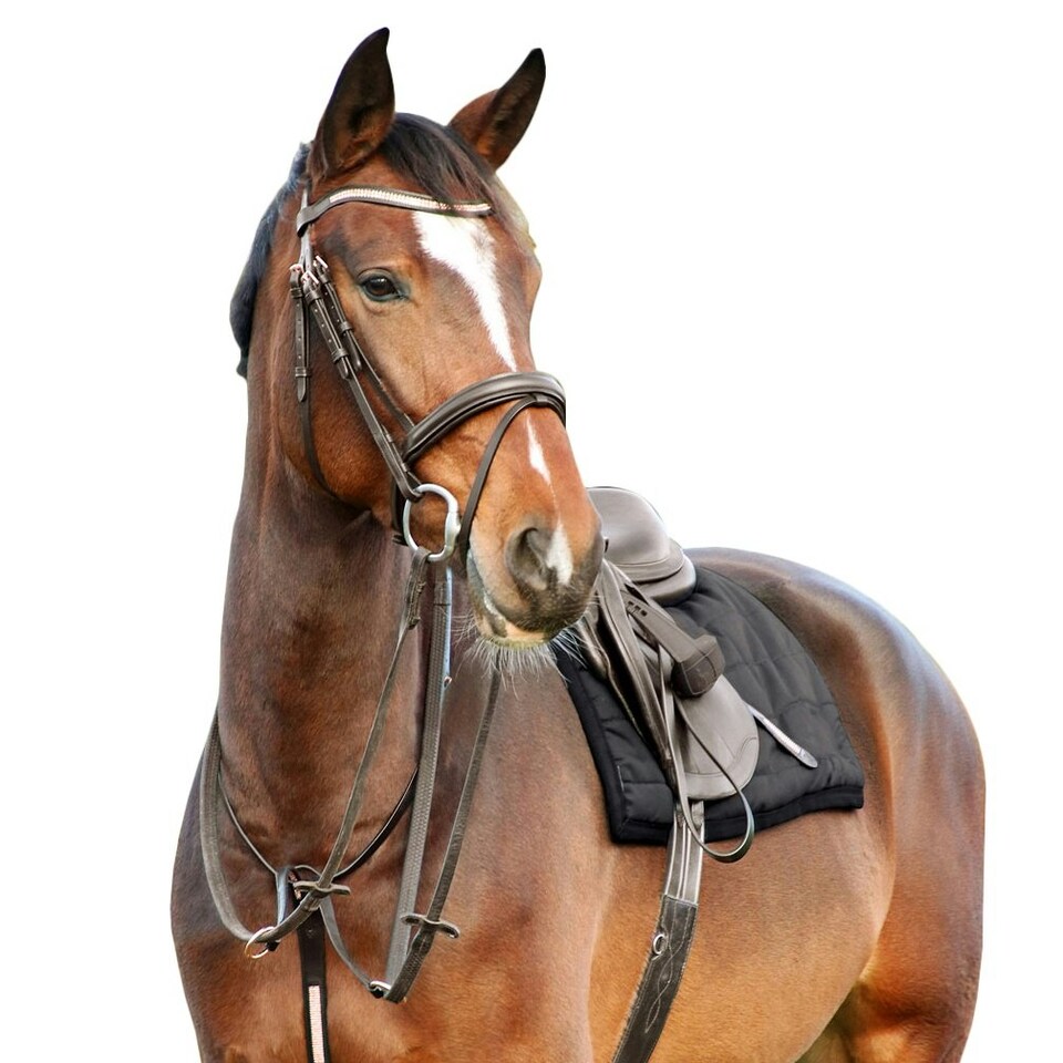 image 1 of Hy Rosciano Horse Stirrup Leathers - Brown/Rose Gold - 56in