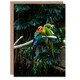 image 1 of Carol M Highsmith Art Card Colourful Sleeping Parrots Photo