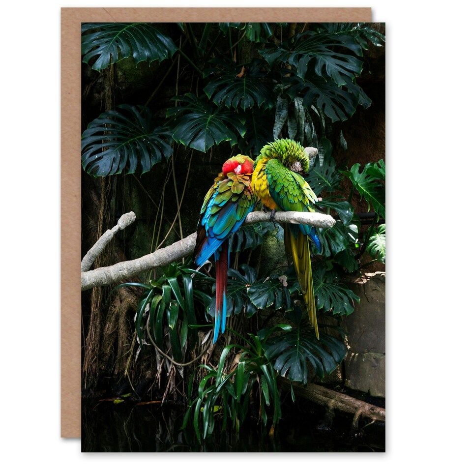 image 1 of Carol M Highsmith Art Card Colourful Sleeping Parrots Photo