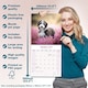 image 6 of Bearded Collie 2026 Calendar | Square Wall Calendar | Dog Breed Gift | Plastic Free Packaging | by Avonside Publishing