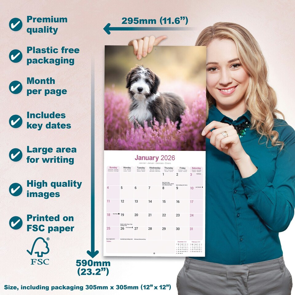 image 1 of Bearded Collie 2026 Calendar | Square Wall Calendar | Dog Breed Gift | Plastic Free Packaging | by Avonside Publishing