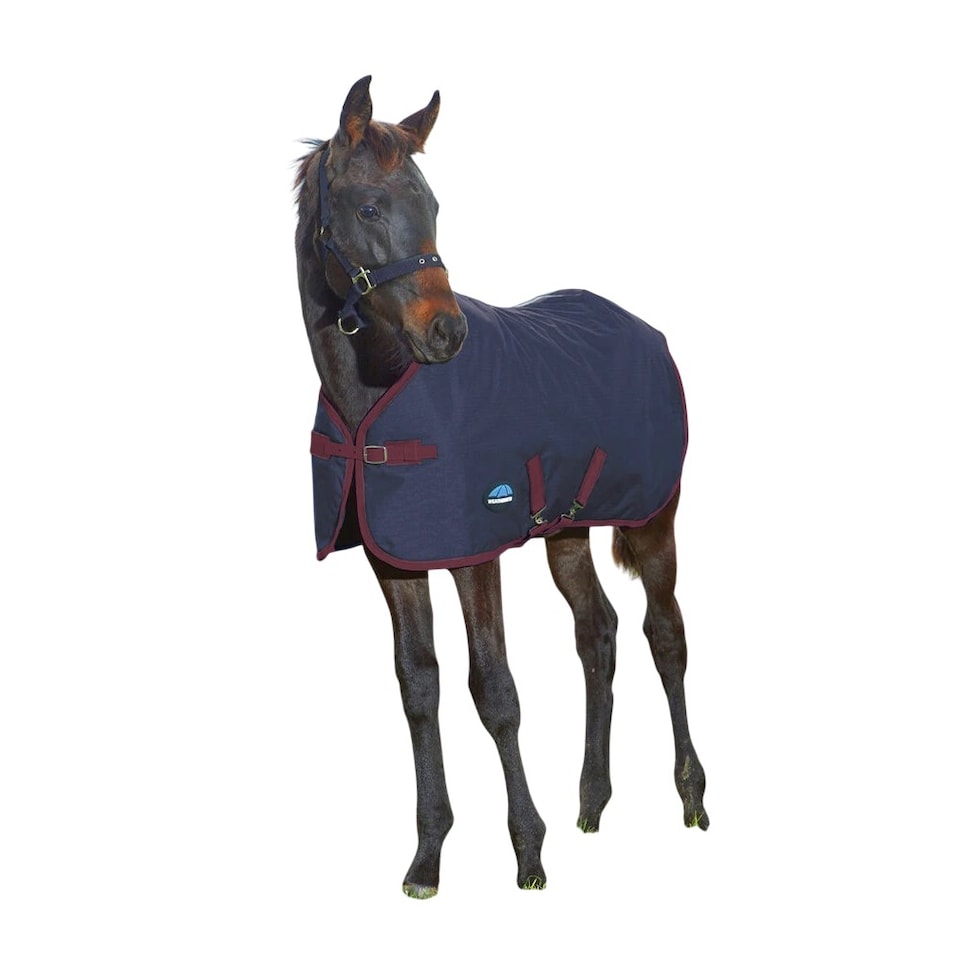 Weatherbeeta Standard-Neck 220g Horse Turnout Rug | Red | Navy/Burgundy | 5Ft | 1