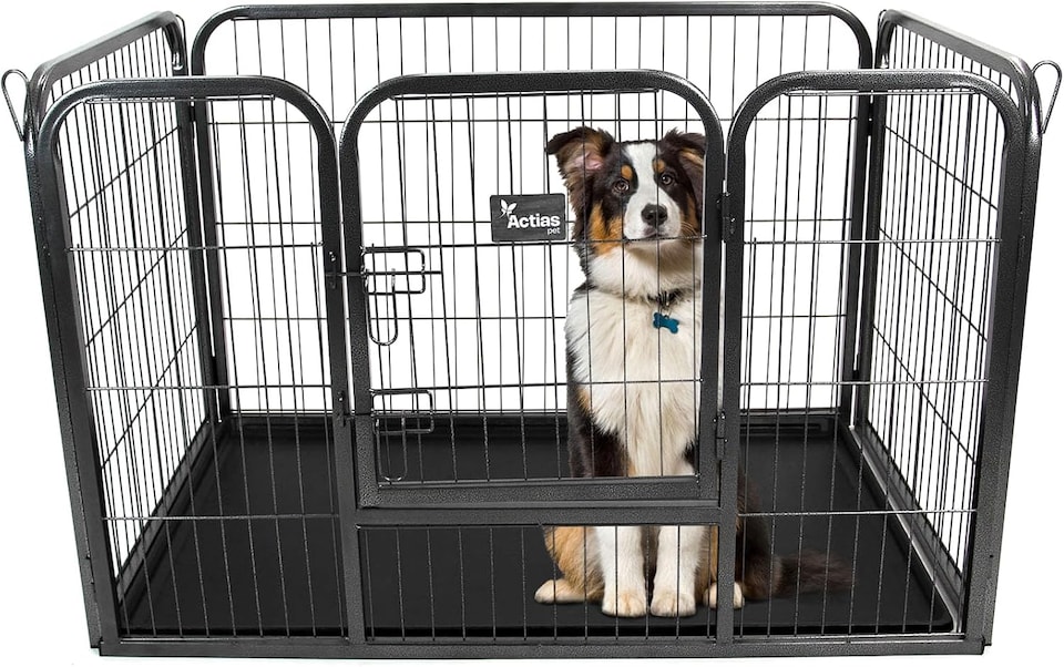 image 1 of Actiaspet Heavy Duty Metal Pet Playpen with Removable Plastic Floor | Whelping Box for Puppy Training (Black, Medium)