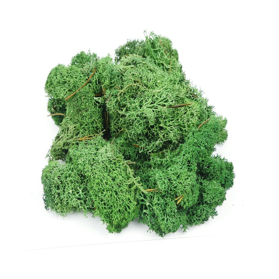 Gaugemaster Scenics Dark Green Lichen 80g (GM165)