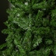 image 4 of 6ft Green Colorado Spruce Artificial Christmas Tree with 481 tips