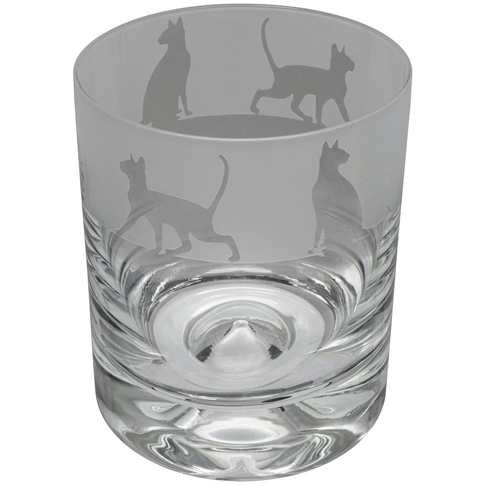 Animo Glass Whisky Tumbler Etched Glass Siamese Cat
