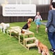 image 4 of PawHut Dog Agility Equipment 3 Pieces Wooden Dog Agility Set with Soft Bridge, Pause Platform and Pet Stair for Outdoor, Natural Wood