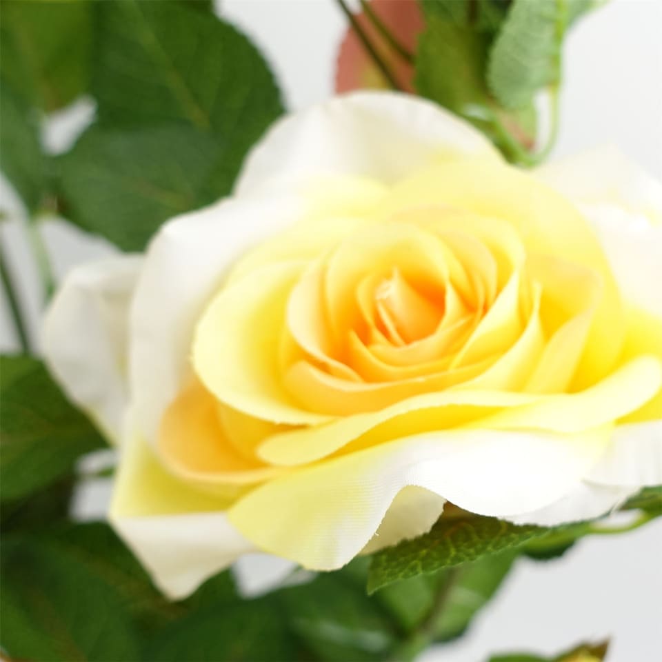 image 1 of 50cm Artificial Yellow Rose Plant