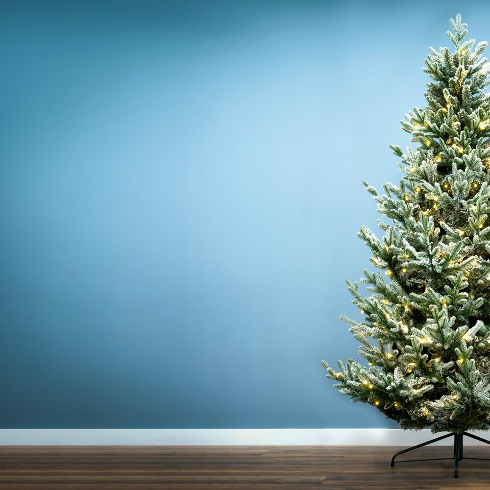 image 1 of Christmas Tree World  6ft/180cm Pre-lit Frosted Ultra Mountain Pine