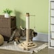 image 2 of PawHut Cat Tree Scratching Post with Interactive Toy Ball Jute Sisal Wood