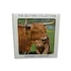 image 1 of Milford Collection Ceramic Coaster Highland Cow Design 10x10cm