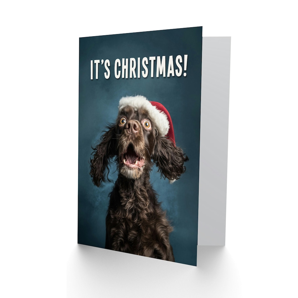 image 1 of Christmas Card Cocker Spaniel Photograph Dog in Santa Hat Funny