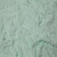 Pistachio Green