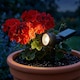image 4 of Auraglow Solar Powered LED Garden Spike Lights - Pack of 3