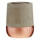 image 1 of Neptune Toothbrush Holder
