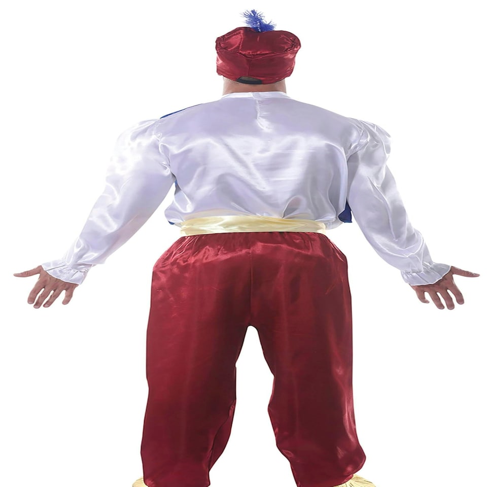 image 1 of Fancy Dress Adult Lamp Genius - M