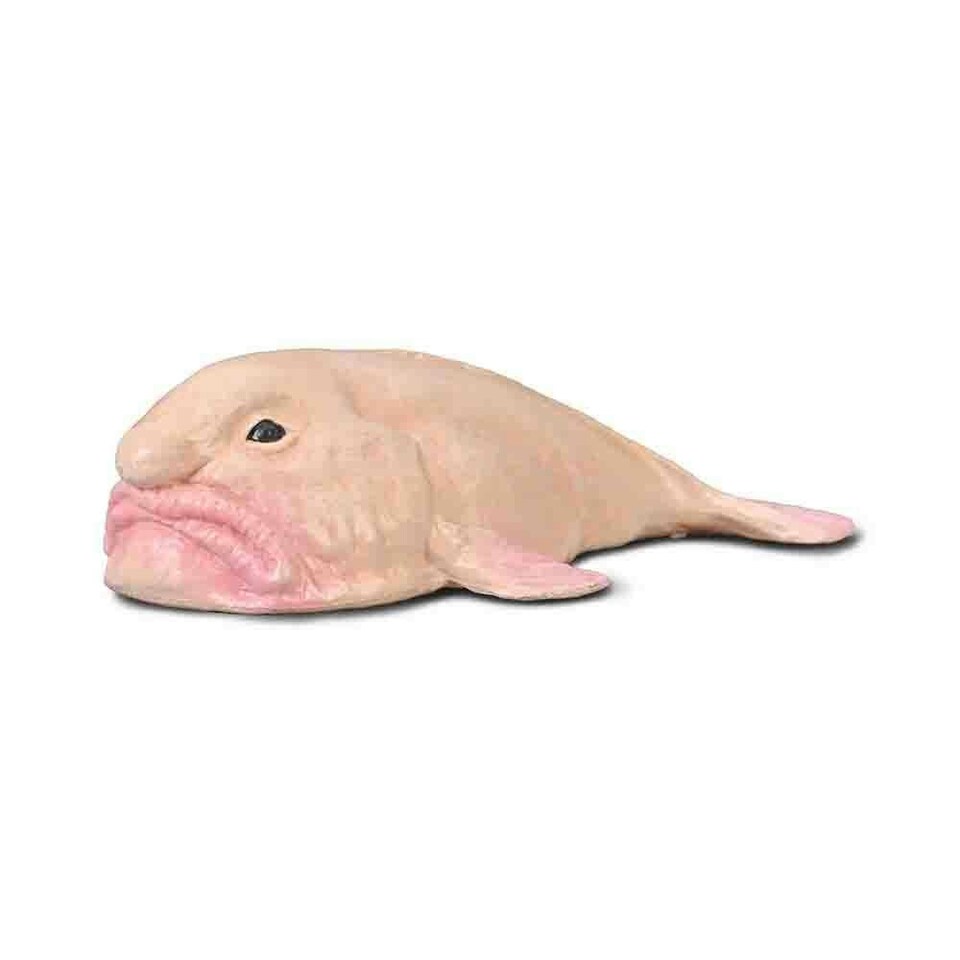 Blobfish