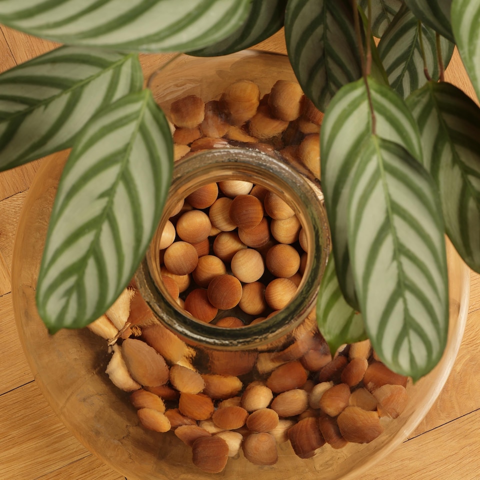 image 1 of Hassett Green London - Amber - Scented Wooden Balls Pack of 100 - Alternative to Pot Pourri, Diffusers, Sachets and Drawer Liners