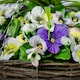image 5 of Primrose Artificial Pansy Flowers Rattan Hanging Basket Yellow Purple White 25cm