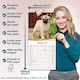 image 6 of Pug 2026 Calendar | Square Wall Calendar | Dog Breed Gift | Plastic Free Packaging | by Avonside Publishing