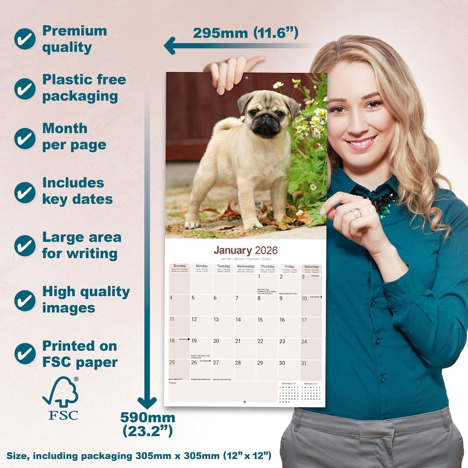 image 1 of Pug 2026 Calendar | Square Wall Calendar | Dog Breed Gift | Plastic Free Packaging | by Avonside Publishing