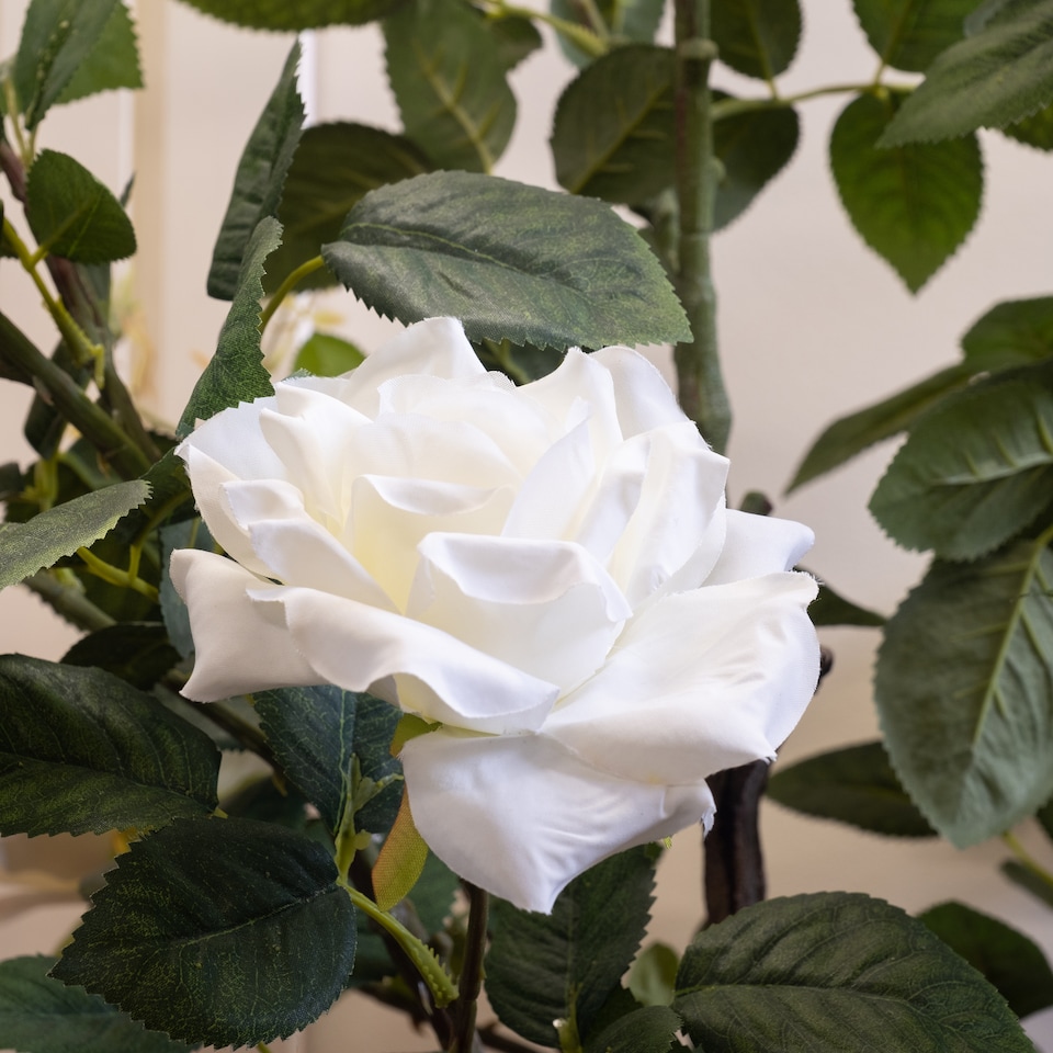 image 1 of Scottish Everlastings 126cm Artificial Rose Tree