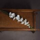 image 3 of Gladioli Artificial Flower - Fabric/Plastic - L6 x W11 x H108 cm - White