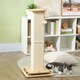 image 7 of PawHut 3-in-1 Cat Scratcher Post with Sisal Track Ball Toy, Light Oak