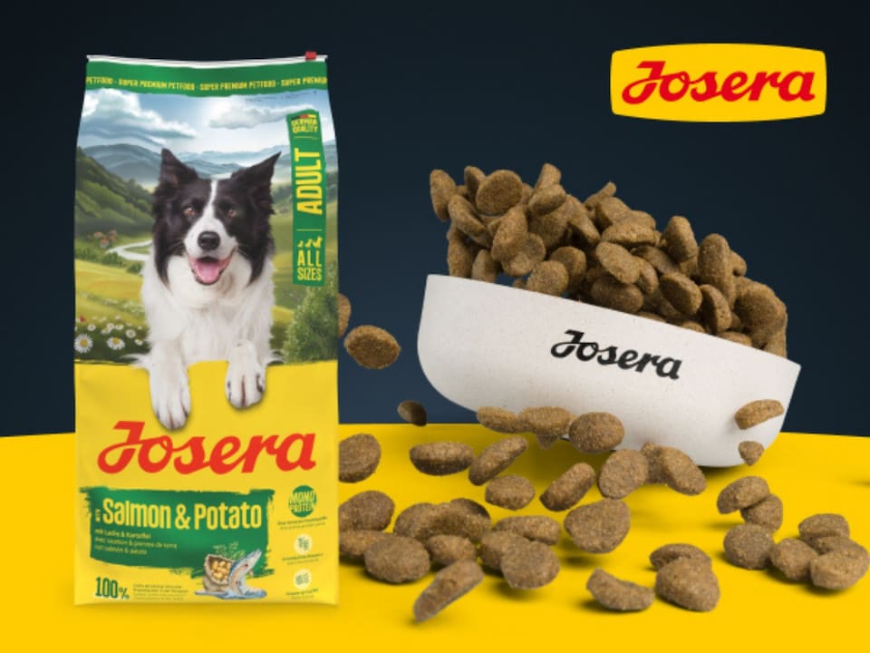 image 1 of Josera Adult Salmon & Potato grain-free complete food | Adult & Senior dogs | Single animal protein | Gluten free | Herbs & fruit | Skin & Coat | 2x12.5kg pack