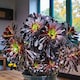 image 1 of 2 x Aeonium Arboreum Schwartzkopf in 9cm Pot - House Leek Indoor Houseplant