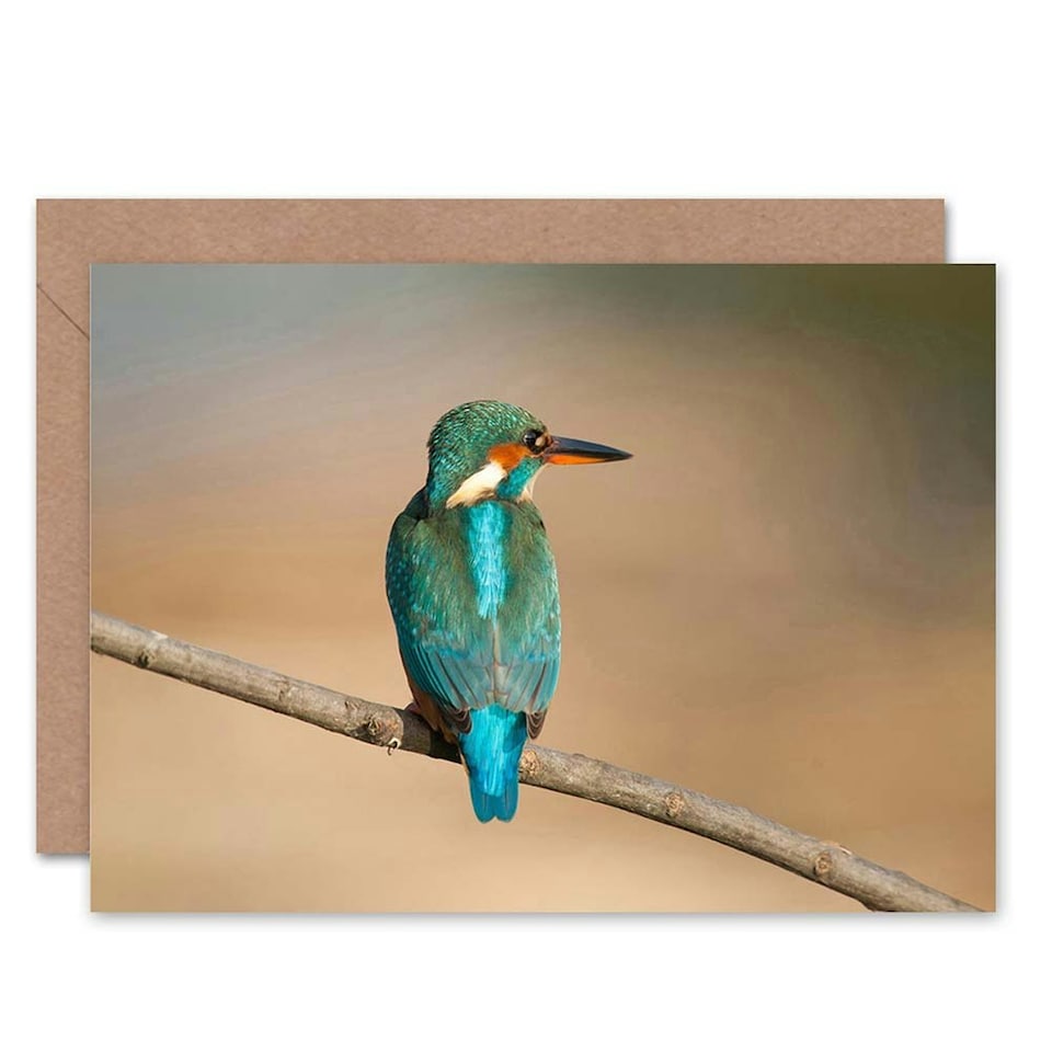 image 1 of Kingfisher Bird on Branch Animal Nature Photograph Greeting Card