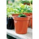 image 2 of Stewart Plant Pot - Terracotta Orange - 8in