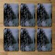 image 4 of StarTree Line (Coaster)