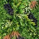 image 2 of True Products Premium Artificial Living Wall Green Plant Panel 1m x 1m - Charm C