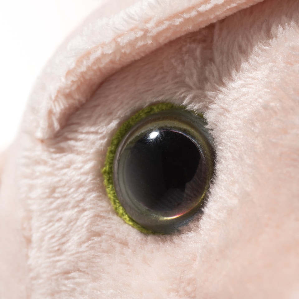 image 1 of Steiff Dobby Soft Toy | Multi | Dobby