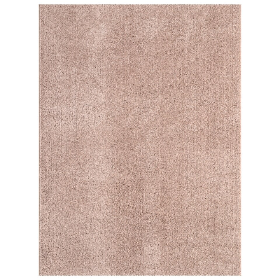 image 1 of RUGLENZA HOME -  STELLA SHAGGY RUG - 22 MM - MINK - 200 x 290 CM