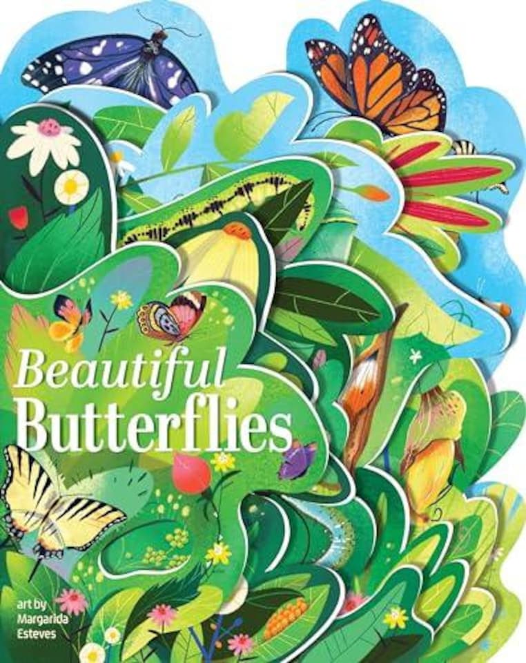 Beautiful Butterflies Board Book Book