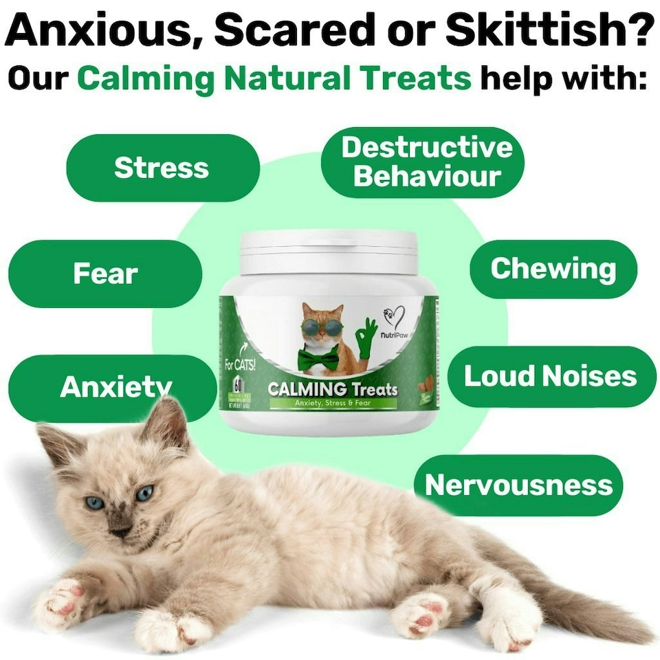 image 1 of Calming Chew for Cats