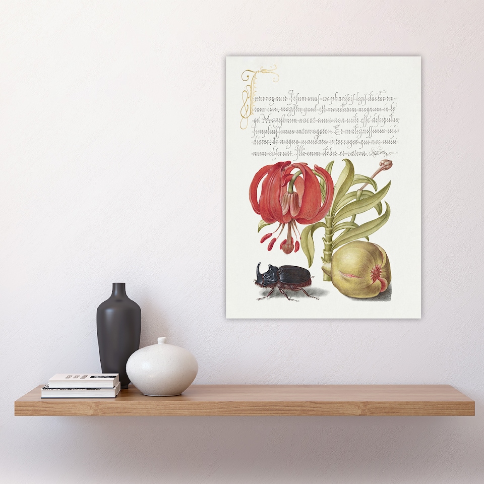 image 1 of Turks Cap Lily Fig and Beetle Calligraphy Huge Wall Art Print 18X24 In