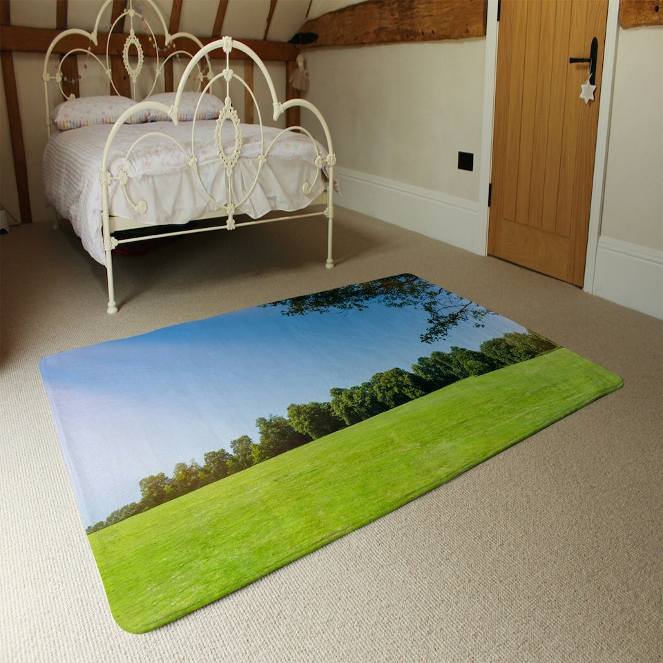 image 1 of Beauty landscape of grass field with forest trees and environment public park with sun rays (Rug) Blue | L