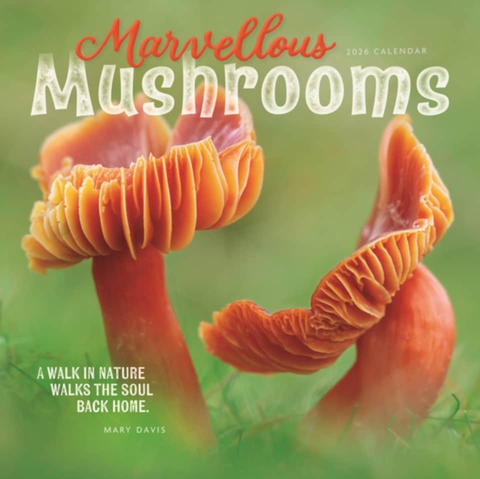 image 1 of Marvellous Mushrooms Square Wall Calenda