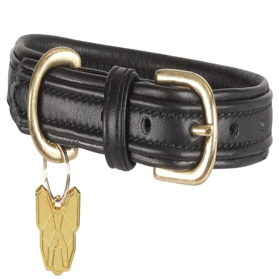 image 1 of Shires Digby & Fox Padded Leather Dog Collar Blue | Size: XX-Small
Colour: Navy
