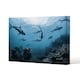image 1 of Schooling grey reef sharks, Ningaloo reef, Western Australia (Canvas Print) 61 x 41 x 4cm